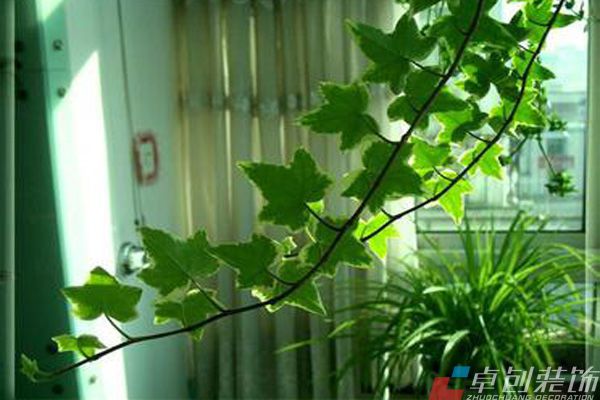 合肥裝飾公司